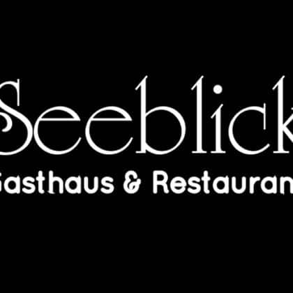 seeblick logo gross
