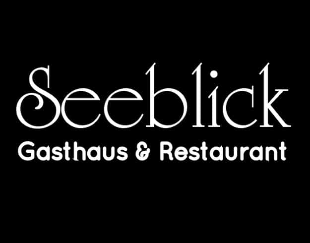 seeblick logo gross